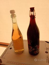 Vino rosso e bianco