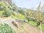 Immagine 7