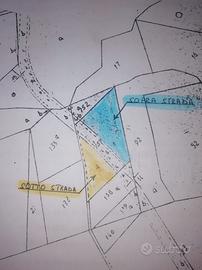 Terreni Gizzeria località Maiolino