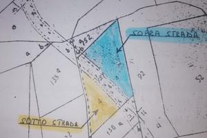 Terreni Gizzeria località Maiolino