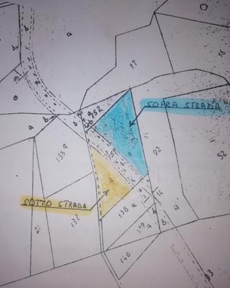 Terreni Gizzeria località Maiolino