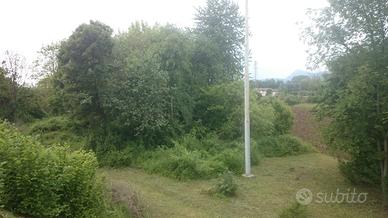 Terreno agricolo incolto pianeggiante a Tarcento