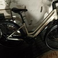 bici elettrica 