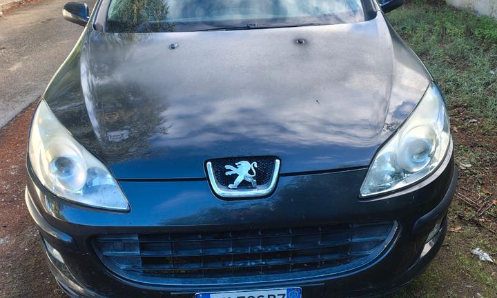 PEUGEOT 407 1ª serie - 2005