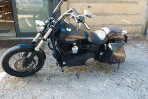 Harley Davidson dyna street bob 