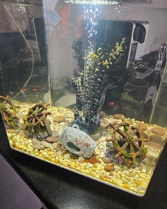 biOrb cubo 60 litri  con arredi originali. 