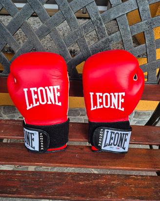 Leone guantoni boxe tg. 10 e parastinchi TG.L  