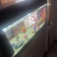 Acquario 100 lt con pompa ed accessori
