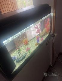 Acquario 100 lt con pompa ed accessori