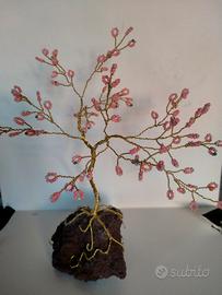 alberello bonsai 