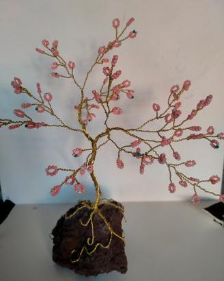 alberello bonsai 