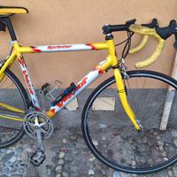Bicicletta da corsa