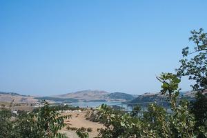 Terreno con 250 piante di ulivo a Guardialfiera