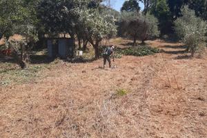 Terreno edificabile in permuta