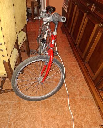 Bicicl