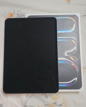 Ipad pro m5 256 gb  11 inch
