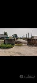 Azienda agricola ex bufalina