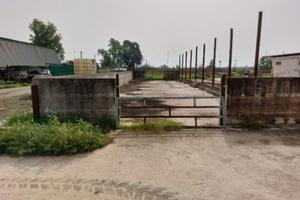 Azienda agricola ex bufalina