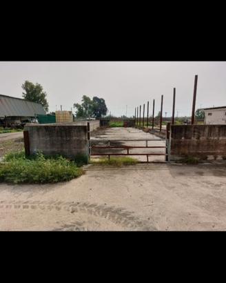 Azienda agricola ex bufalina
