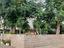 Immagine 28
