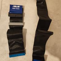 cavo flat Asus fdd hdd