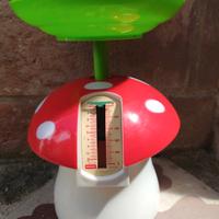 Particolare e rara bilancia vintage anni 70 a form