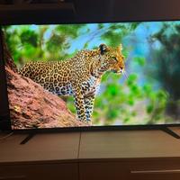 Sony oled 55 pollici