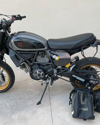 Ducati scrambler 800 desert sled