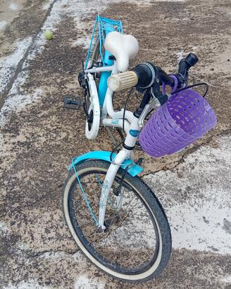bicicletta 