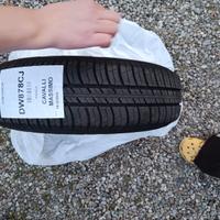 Gomme estive per panda