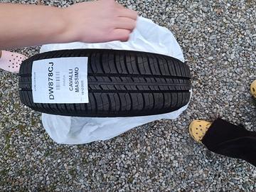 Gomme estive per panda