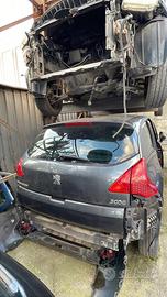 Cofano Posteriore Peugeot 3008 “10”