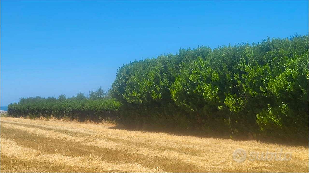 IL TERRENO PERFETTO PER RALIZZARE IL TUO PROGETTO! - Altro