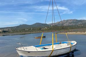 Gozzo Fundoni 60 cv Fnm diesel originale