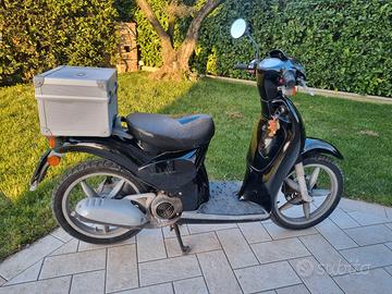 Scarabeo nero