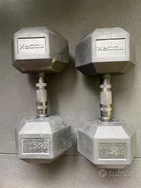 Dumbbell esagonali 17,5