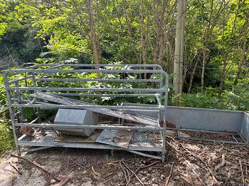 Gabbia  parto per suini