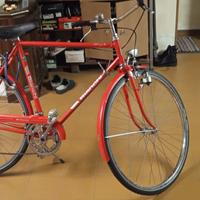 Bici uomo da città turismo