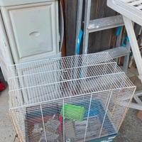 gabbia pappagalli ferplast