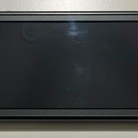 Nintendo Switch Light + Mario Party