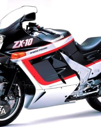 Ricambi Kawasaki 1000 ZX10 TOMCAT ( ZX1000B )