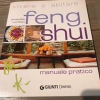 Manuale pratico Feng Shui