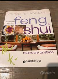 Manuale pratico Feng Shui