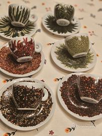 rare tazzine Illy Collection del 2000, firmate