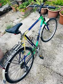 Mountain bike