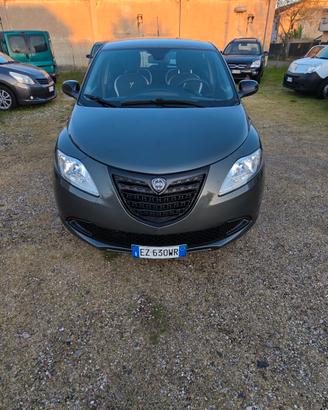Lancia Ypsilon 1.3 MJT 16V 95 CV 5 porte S&S Elefa