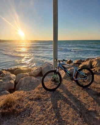 bici elettrica , leggere la descrizione