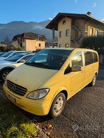 Mercedes Viano