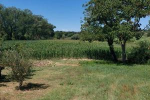 Terreno di 11000 m² a Pesaro