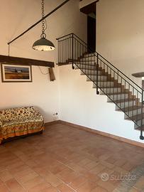 Ampio Bilocale più Mansarda e giardino